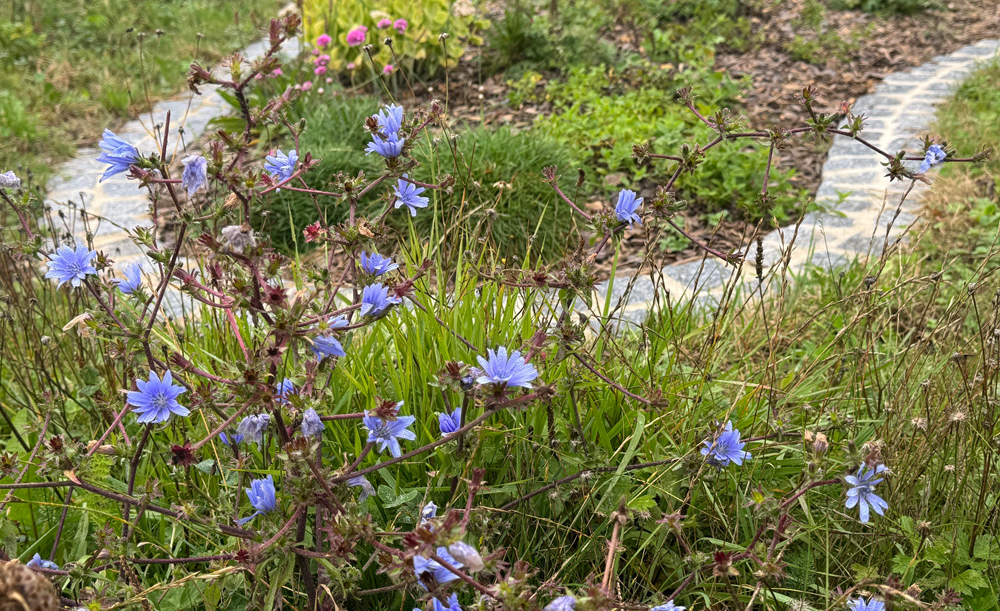 Vielfältige Lebensräume für Tiere und Pflanzen